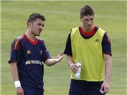 Bóng đá anh, ngoại hạng anh, lịch thi đấu euro 2012, ĐT Tây Ban Nha: Del Bosque mất dần niềm tin với Torres?